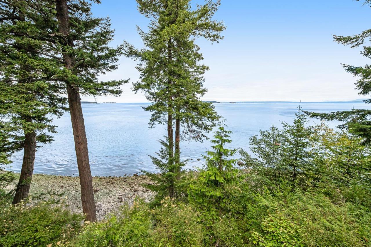 Pinecone Cabin Eastsound エクステリア 写真